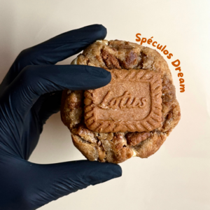 Accueil Spéculos Dream